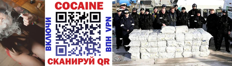 Купить закладки  Щёлково  COCAIN Fish Scale 