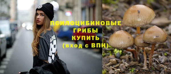 2c-b Кукмор
