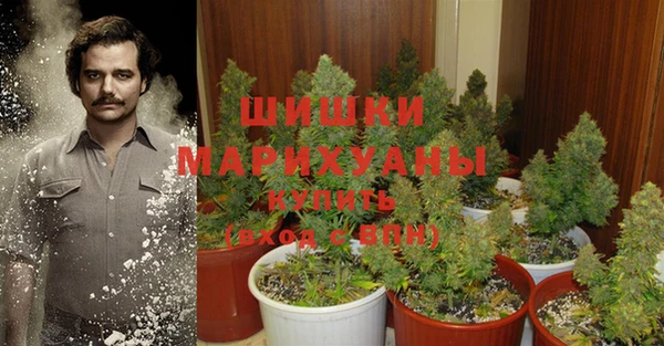 мдпв Куйбышев